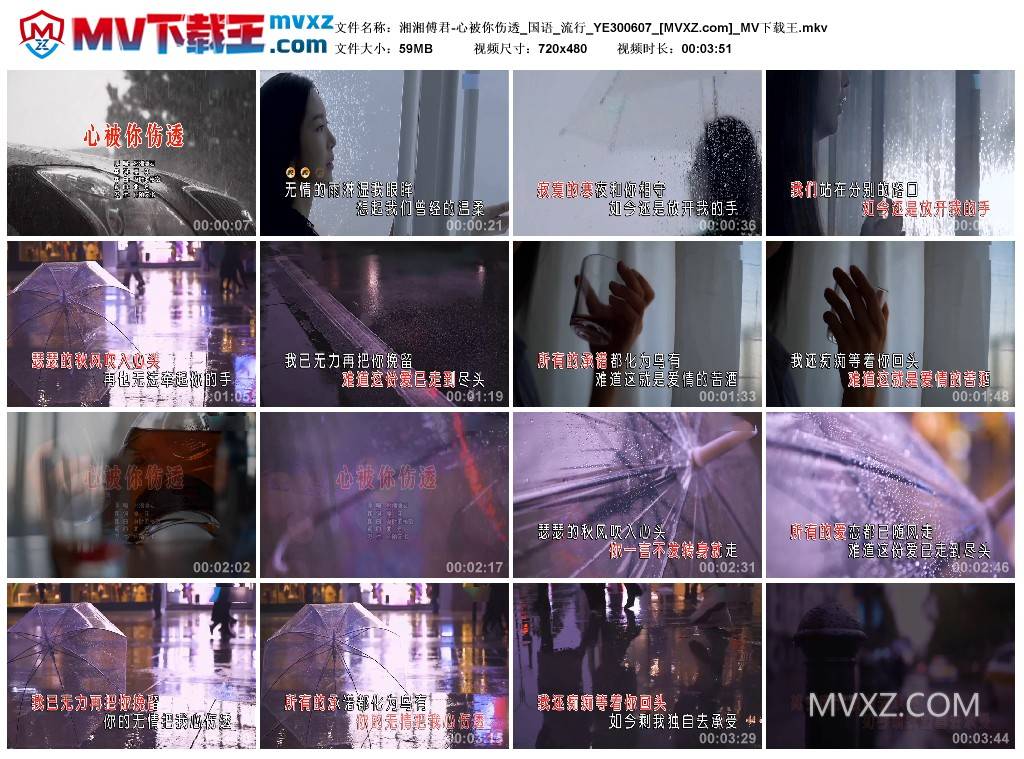 湘湘傅君-心被你伤透_国语_流行_YE300607